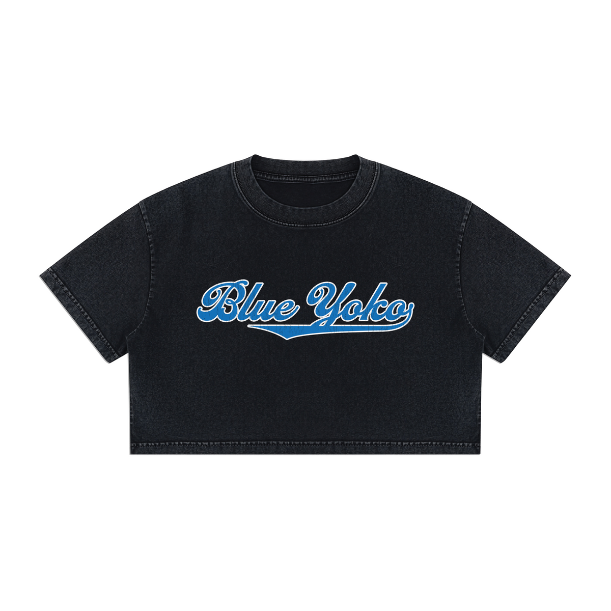 DISTRESS LOGO BOXY CROPPED TEE