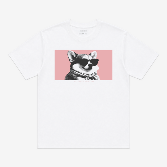 CORGI