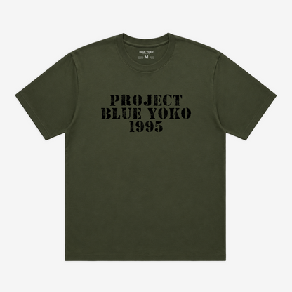 PROJECT 1995